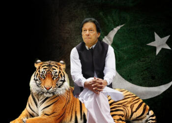 पाकिस्तान तालिबान