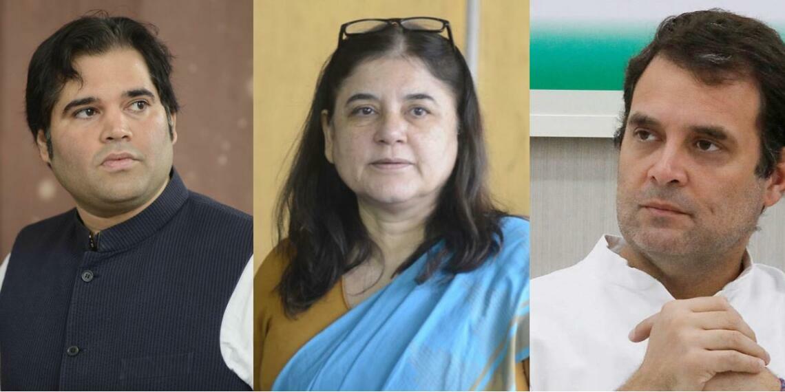 राहुल गांधी अब कांग्रेस में “भाई” वरुण गाँधी और “चाची” मेनका को चाहते हैं