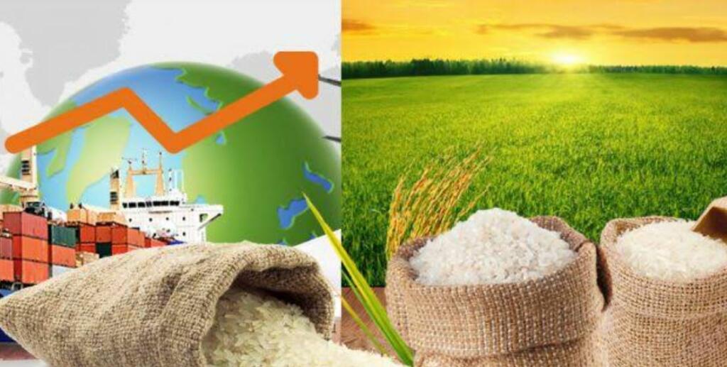 भारत चावल निर्यात डाटा