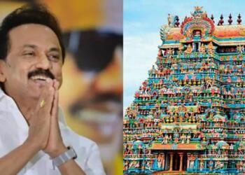 तमिलनाडु सरकार सोना