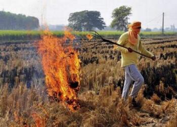 पूसा डी कंपोजर का उपयोग करता किसान