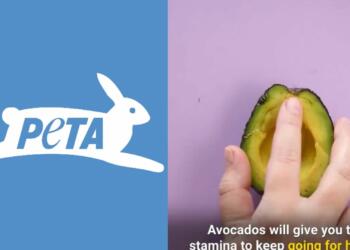 पेटा फ्रूट पॉर्नोग्राफी ट्विटर वीडियो