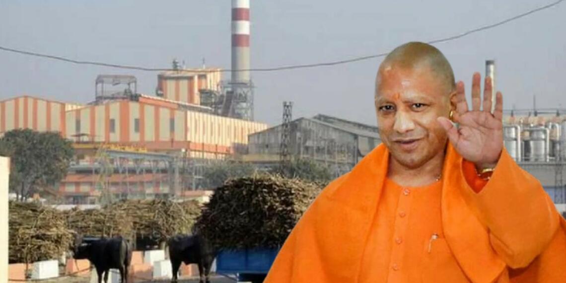 उत्तर प्रदेश चीनी उद्योग