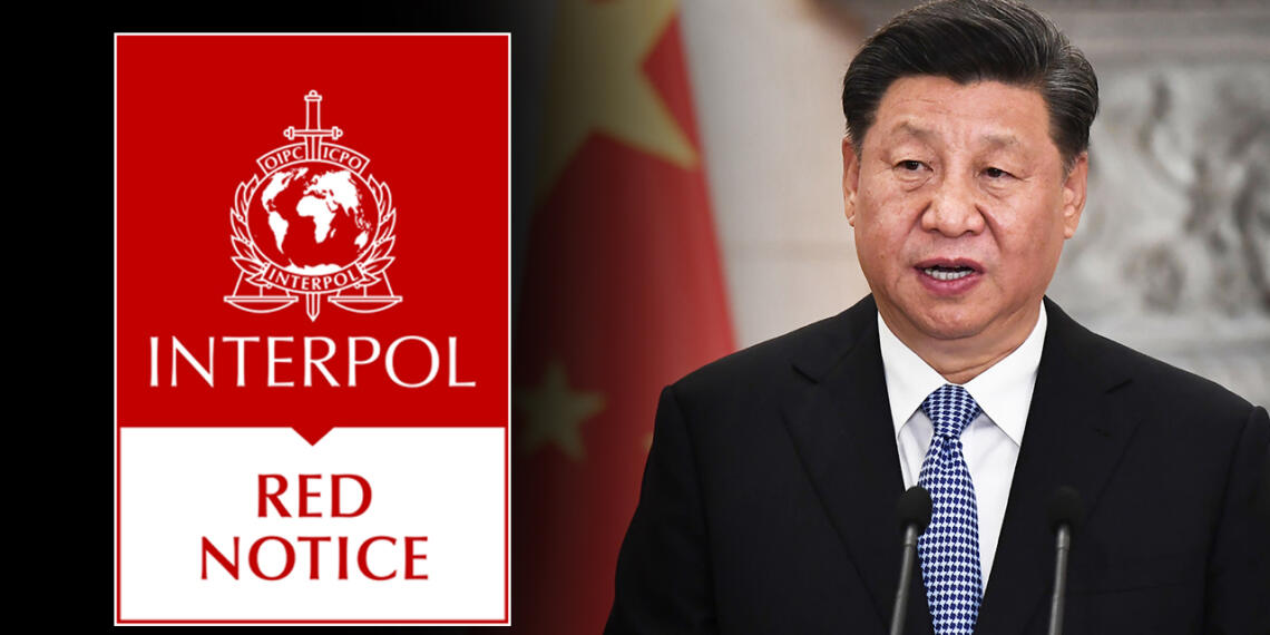 इंटरपोल