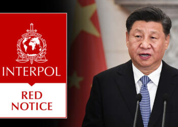 इंटरपोल