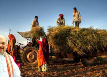 सहकारी समितियों