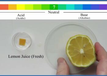 नींबू का पीएच मान पीएच मापक मीटर पर 2.0