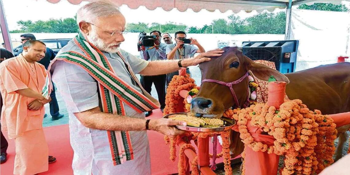 गाय पर निबंध