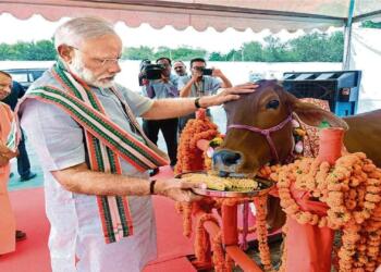 गाय पर निबंध