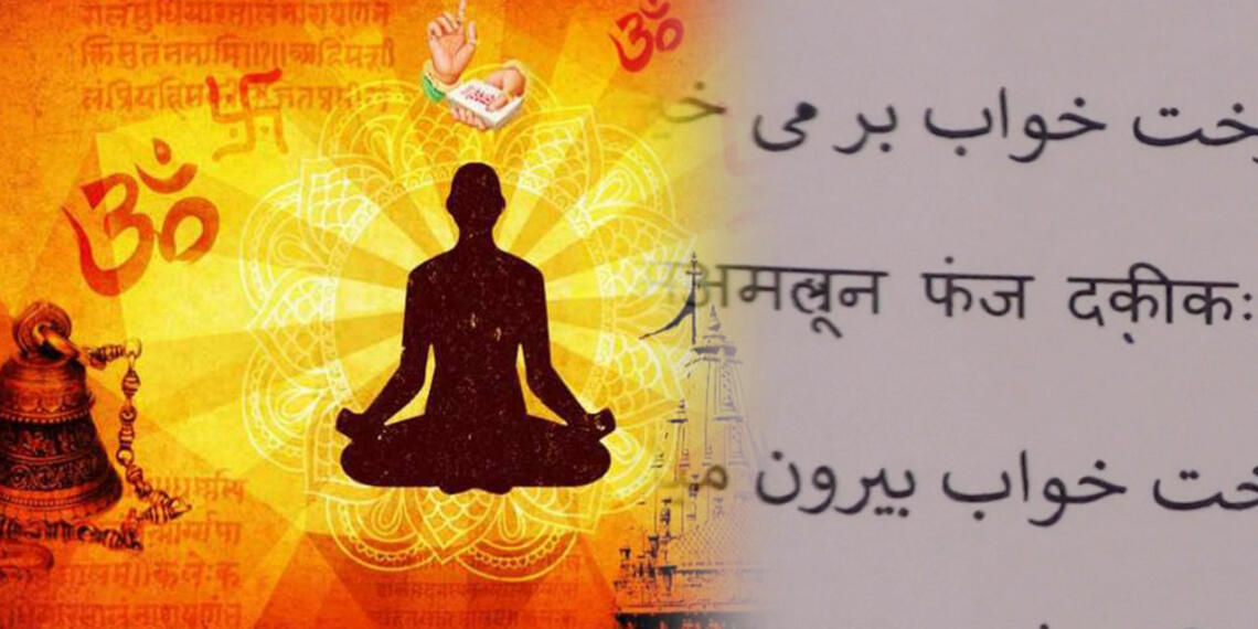 हिन्दू शब्द का अर्थ