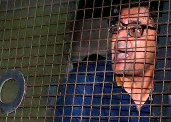 पत्रकारिता