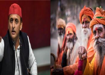 चिलमजीवी