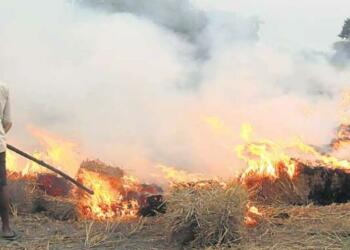 दिवाली पराली