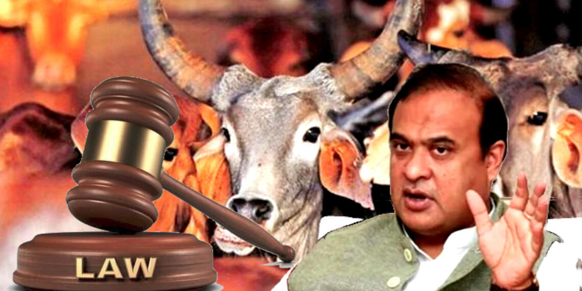 असम की हिमंता सरकार ने पशु तस्करों के खिलाफ बड़ी कार्रवाई शुरू कर दी है