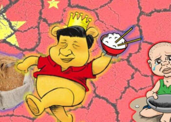 चीन अनाज