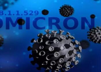 ओमिकॉर्न