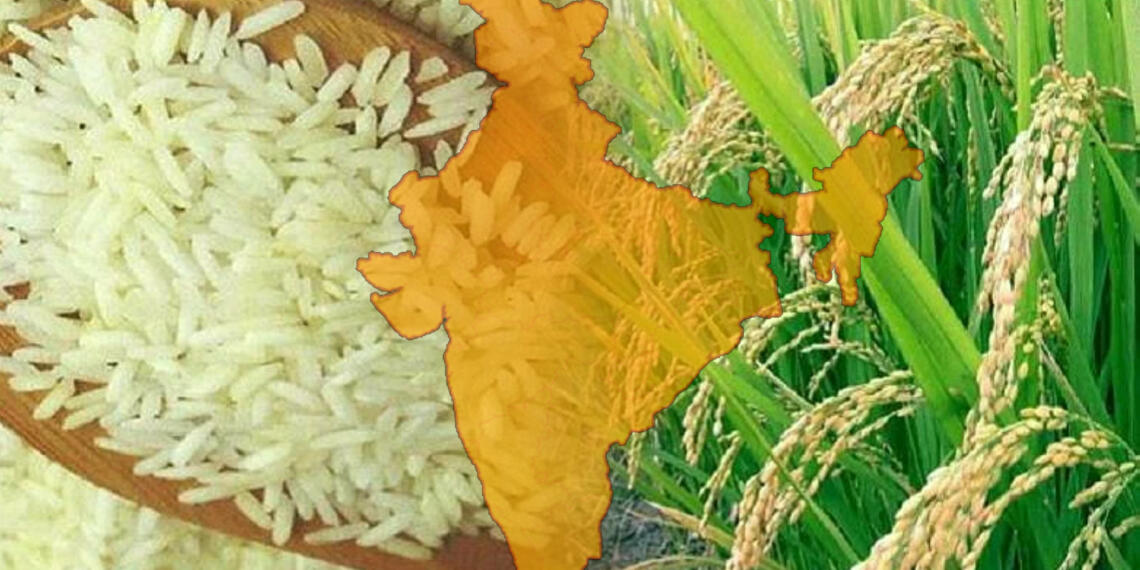 चावल निर्यात