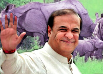 असम एक सींग वाले गैंडे