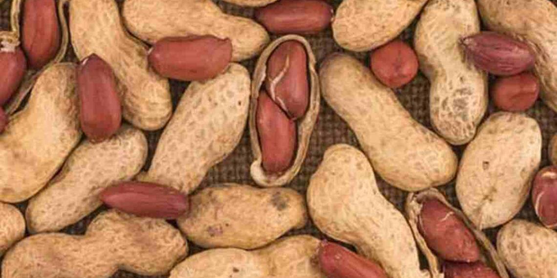 मूंगफली को अंग्रेजी में क्या कहते है?