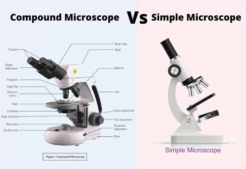 Microscope Information in Hindi