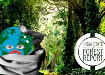 वन क्षेत्र