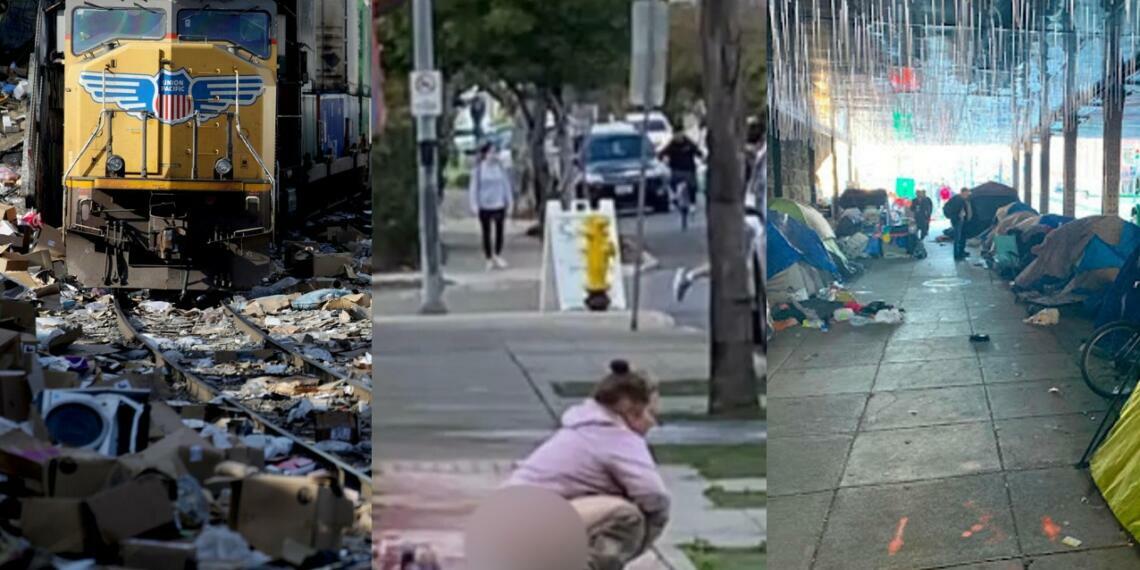 लॉरेन फ्रायर