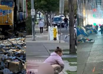 लॉरेन फ्रायर