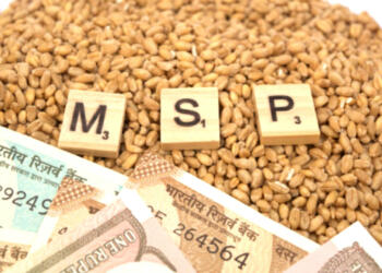 MSP अमीर और गरीब किसानों के बीच असमानता की खाई को और बढ़ा रही है