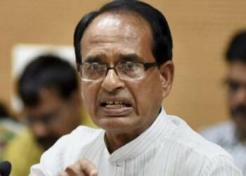 मामा को इंग्लिश में क्या कहते हैं