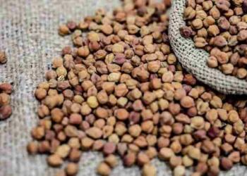 चने को इंग्लिश में क्या कहते है?