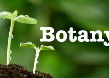 वनस्पति विज्ञान