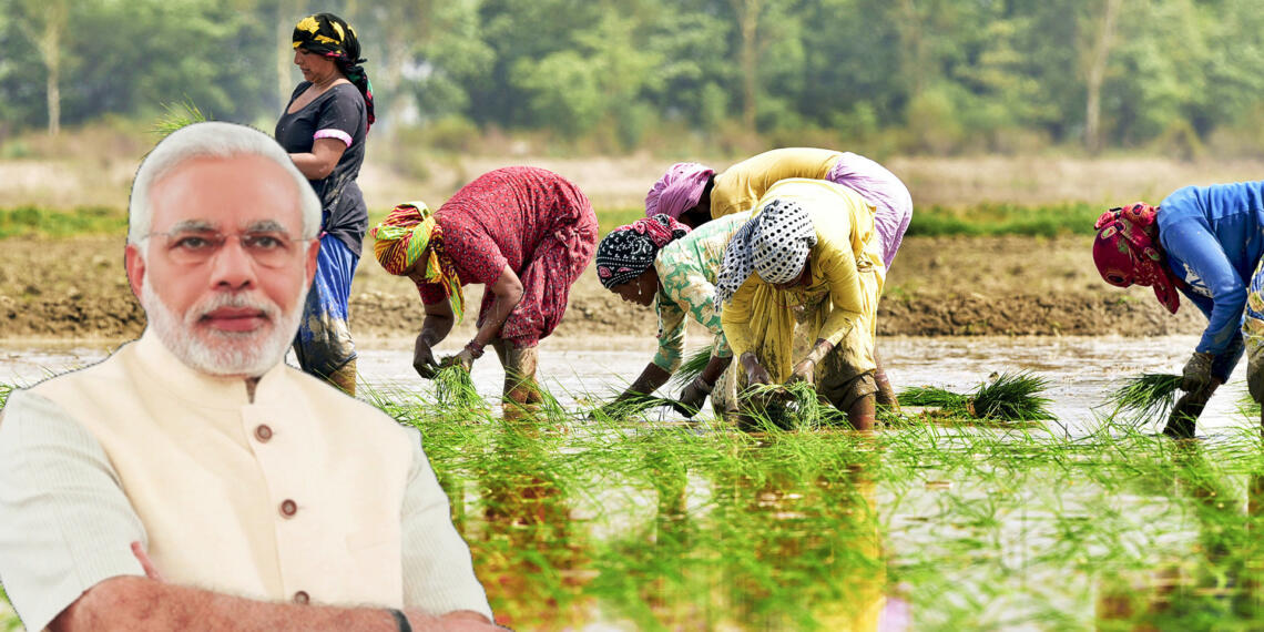 नेचुरल फार्मिंग कॉरिडोर