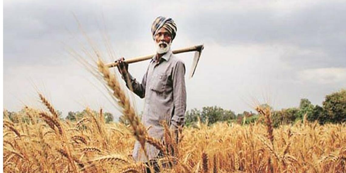 punjab farmers