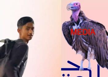 Pradeep Mehra / प्रदीप मेहरा