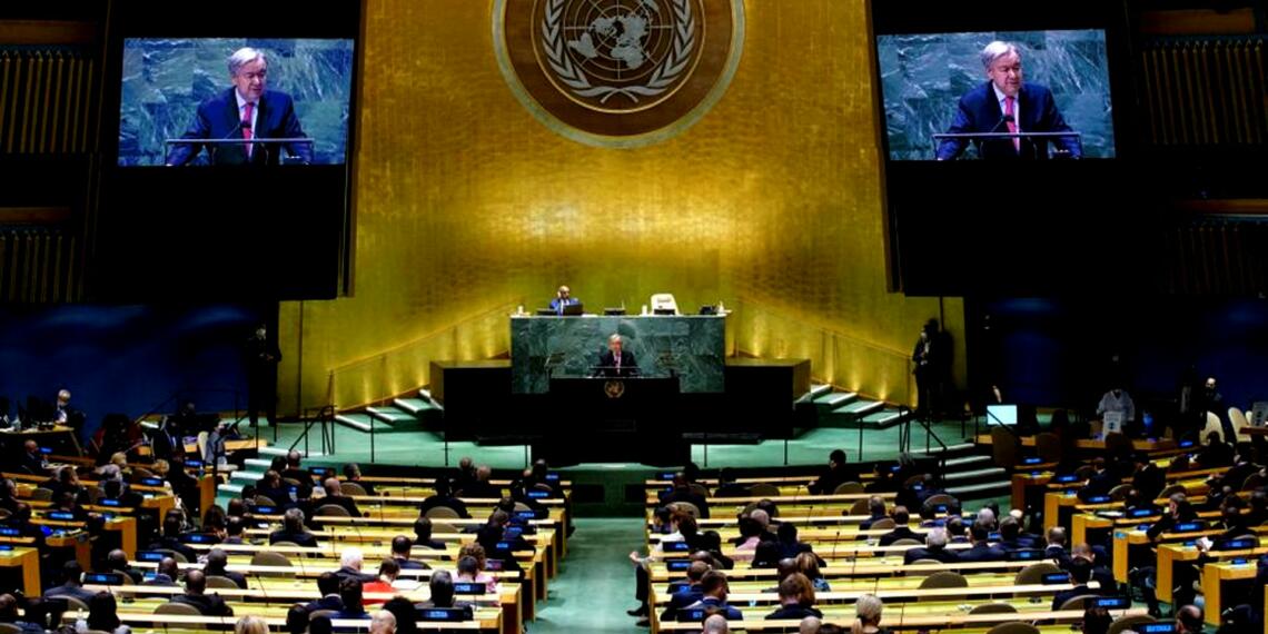 इस्लामोफोबिया पर संयुक्त राष्ट्र के प्रस्ताव के खिलाफ अपने रुख से भारत बेजुबानों को आवाज दे रहा है