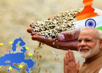 रूस-यूक्रेन युद्ध से गहराये खाद्य संकट के बीच अब पश्चिमी देशों का अन्नदाता बनेगा भारत