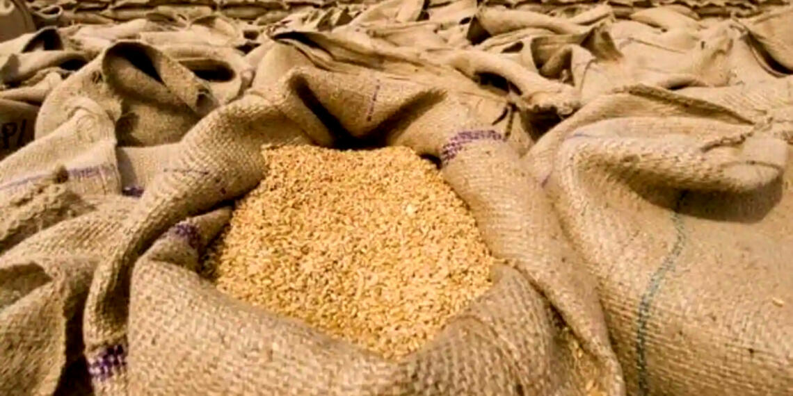 भूखा यूरोप अब खाने के लिए भारत के गेहूँ की ओर देख रहा है