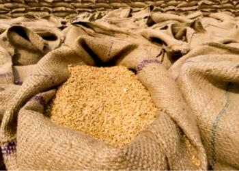 भूखा यूरोप अब खाने के लिए भारत के गेहूँ की ओर देख रहा है