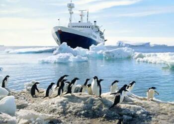 भारत ने अंटार्कटिका बिल प्रस्तुत कर स्पष्ट कर दिया है, कि आखिर वह क्यों है एक जिम्मेदार राष्ट्र ?