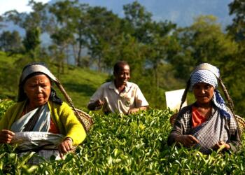 जिस पूर्वोत्तर को हीन दृष्टि से देखती थी पूर्ववर्ती सरकारें, PM मोदी ने उसे मुख्यधारा में ला दिया