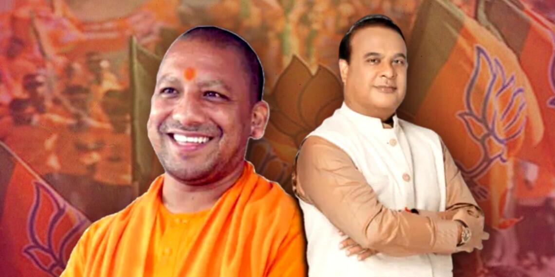 Himanta and Yogi