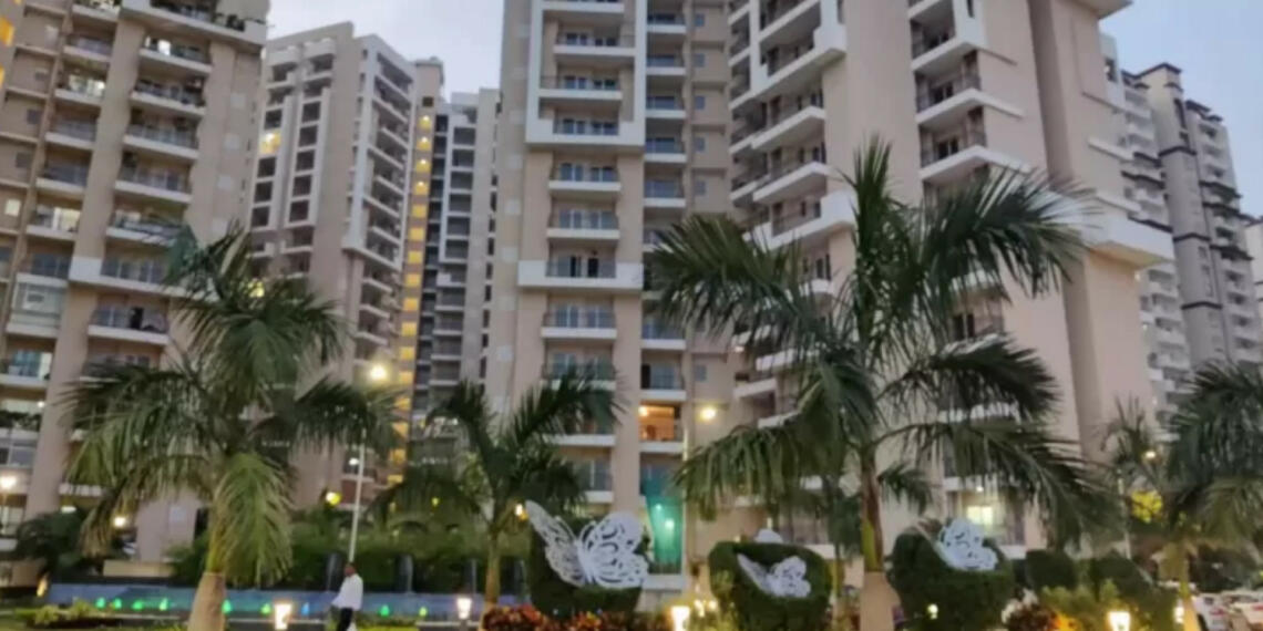 दिल्ली-एनसीआर में ताड़ के पेड़: एक खतरनाक ट्रेंड जो पूरे पारिस्थितिकी तंत्र के लिए खतरा है