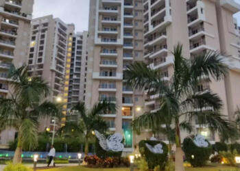 दिल्ली-एनसीआर में ताड़ के पेड़: एक खतरनाक ट्रेंड जो पूरे पारिस्थितिकी तंत्र के लिए खतरा है