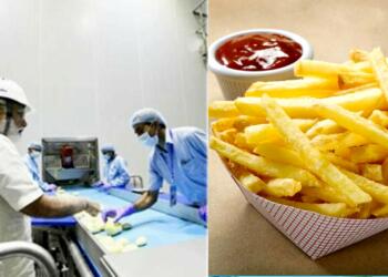 गुजरात फ्रेंच फ्राइज़