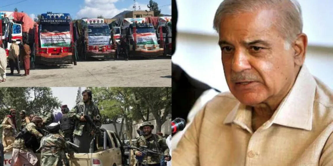 मांगते-मांगते थक गया तो अब भारत का गेहूं चोरी करके पेट भर रहा है पाकिस्तान