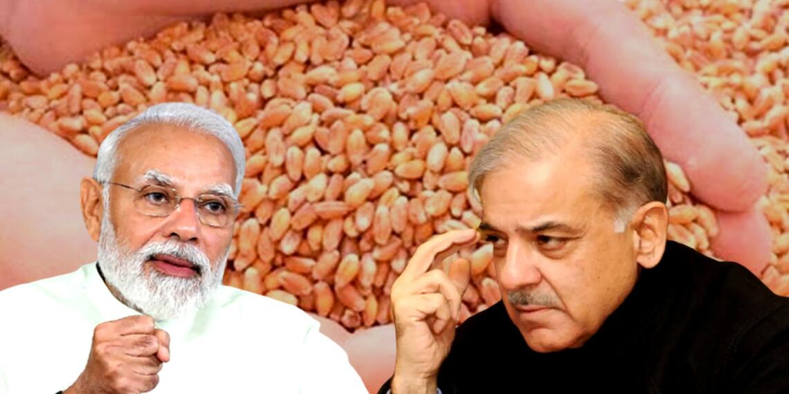 पाकिस्तान भारत गेहूं