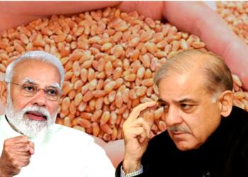 पाकिस्तान भारत गेहूं