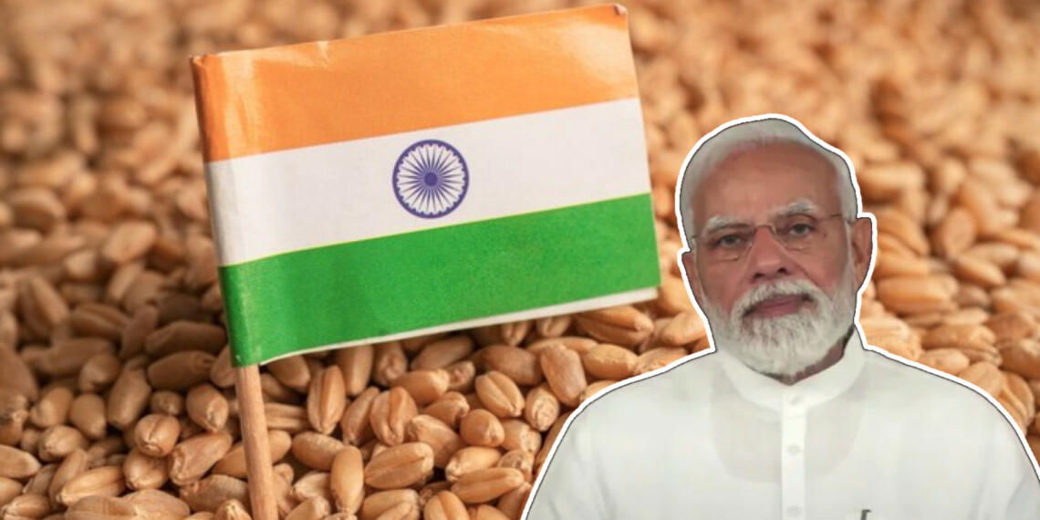 गेहूं भारत