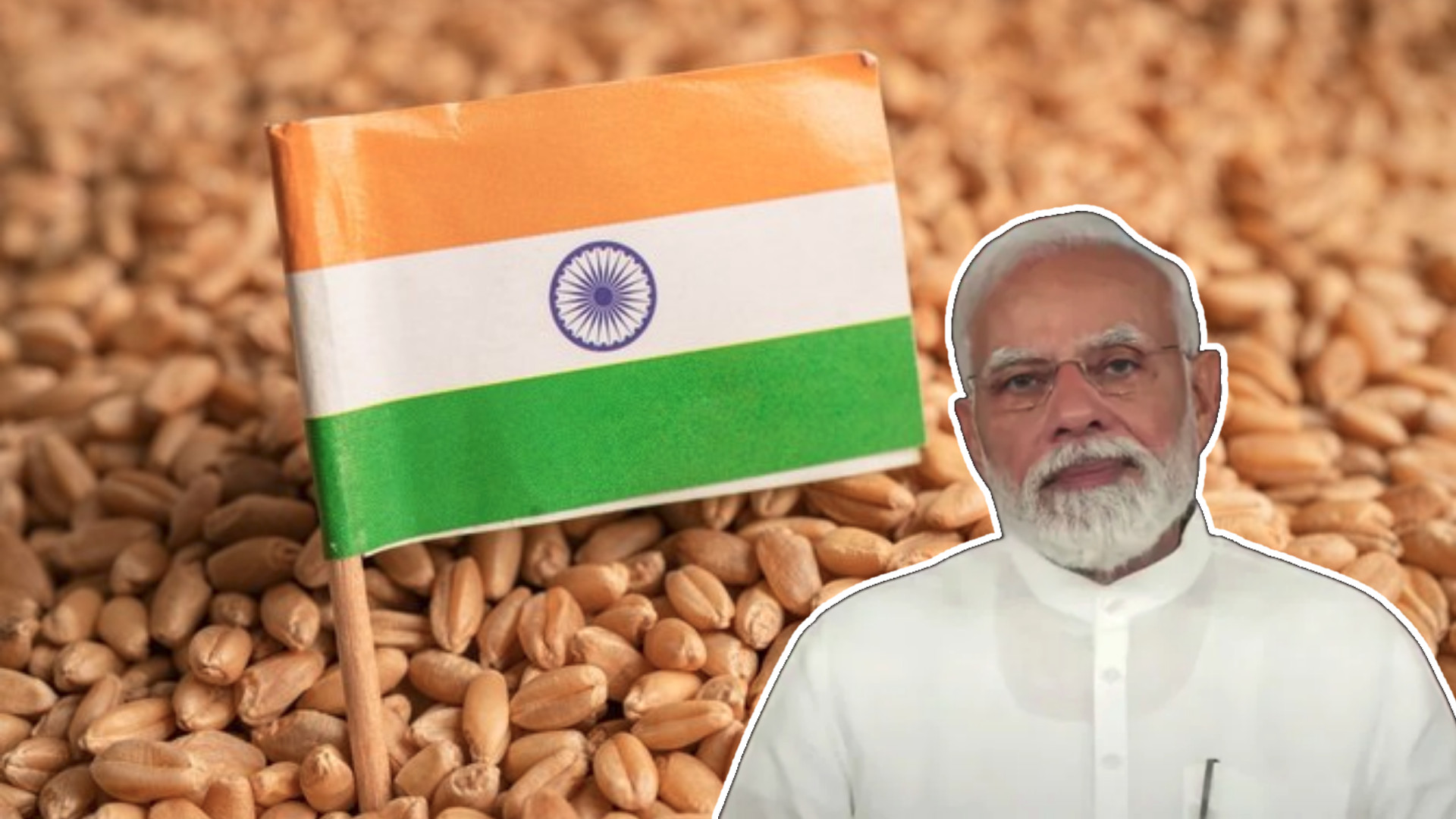 India should donate wheat to stop ‘bread war’, but only leftovers
 TOU