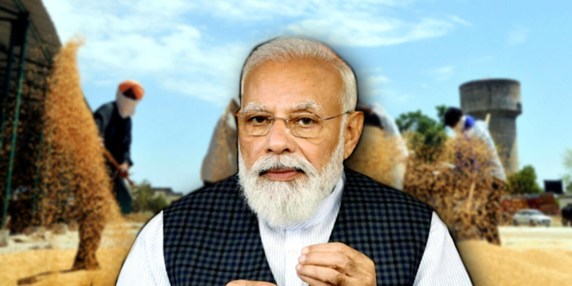 भारत गेहूं